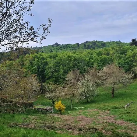 A Forxa Cafeteria Restaurante * A Carballeira