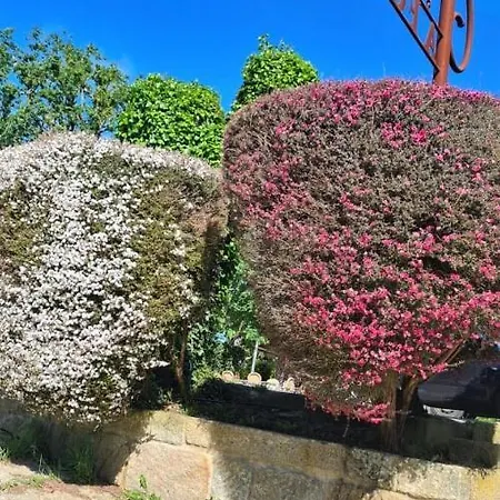 A Forxa Cafeteria Restaurante