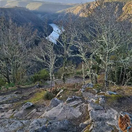A Forxa Cafeteria Restaurante A Carballeira