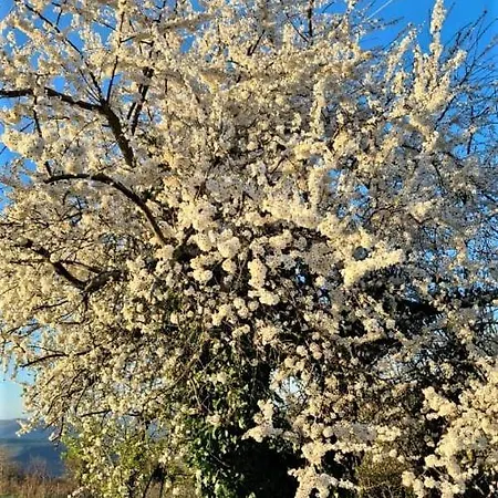 A Forxa Cafeteria Restaurante * A Carballeira
