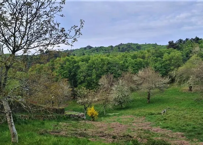 A Forxa Cafeteria Restaurante * A Carballeira