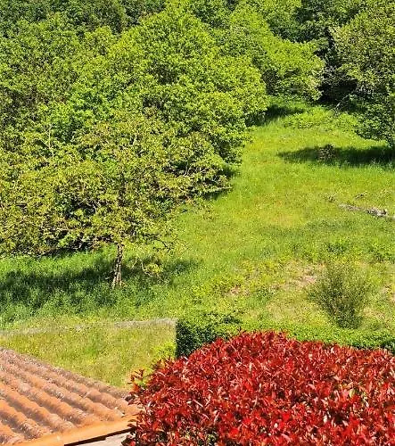 A Forxa Cafeteria Restaurante A Carballeira