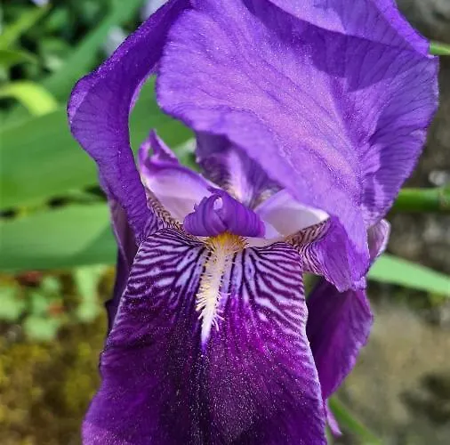 A Forxa Cafeteria Restaurante 호텔