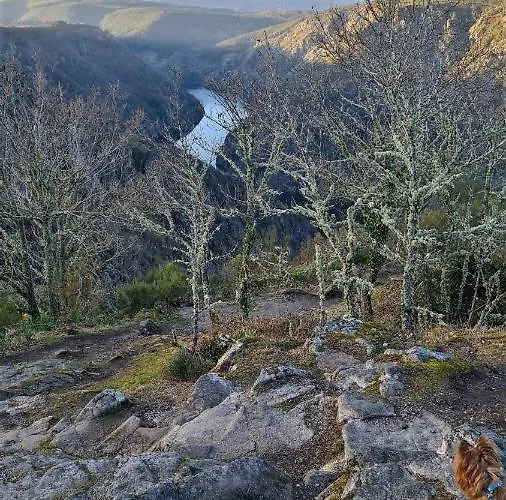 A Forxa Cafeteria Restaurante A Carballeira