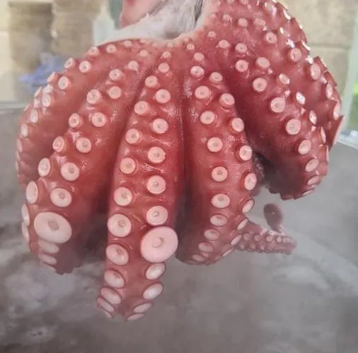 A Forxa Cafeteria Restaurante A Carballeira